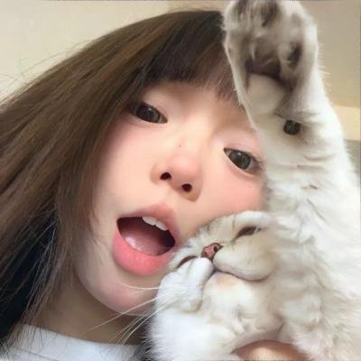 来不及道歉
